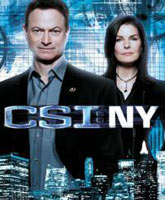 CSI: NY Season 9 /  : - 9 